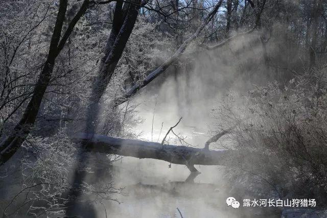 商人逃生